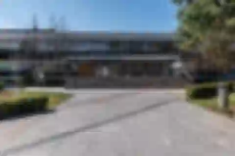 Štefánikova, Púchov - Púchov | Predaj, Obchodný priestor, 6 805 m²