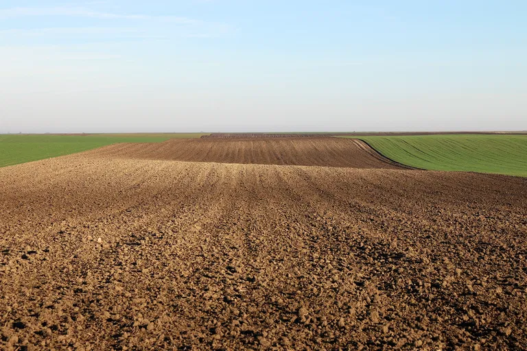 Dunajská Streda - Hviezdoslavov | Sale, Land, 42 717 m²