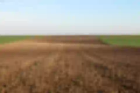 Dunajská Streda - Hviezdoslavov | Sale, Land, 42 717 m²