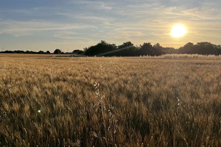 Višňová, Trnava - Trnava | Sale, Land, 29 650 m²