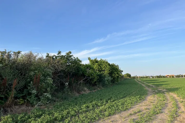 Višňová, Trnava - Trnava | Sale, Land, 29 650 m²