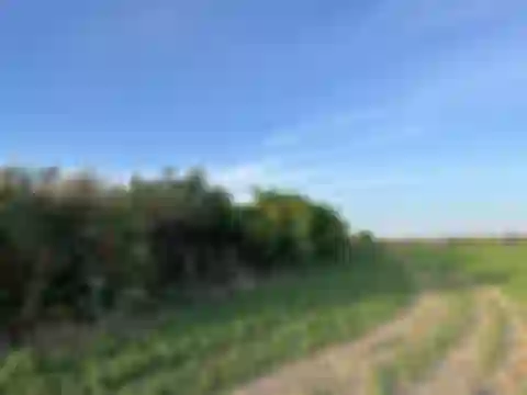 Višňová, Trnava - Trnava | Sale, Land, 29 650 m²