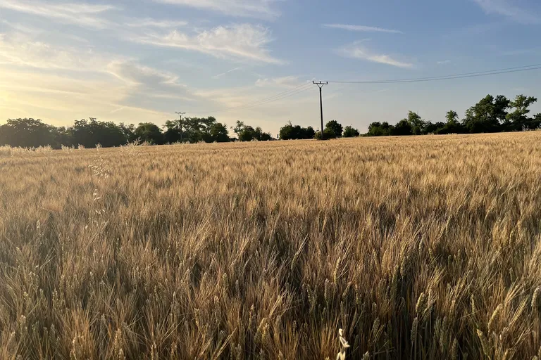 Višňová, Trnava - Trnava | Sale, Land, 29 650 m²