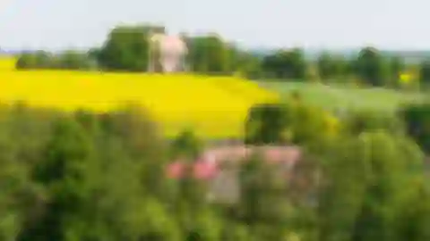 Stálkovská, Slavonice - Jindřichův Hradec | Predaj, Rodinný dom, 20-izbový, 500 m²