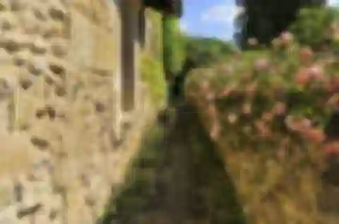France, Nouvelle-Aquitaine - Libourne | Sale, House, Five-bedroom (6+1), 500 m²