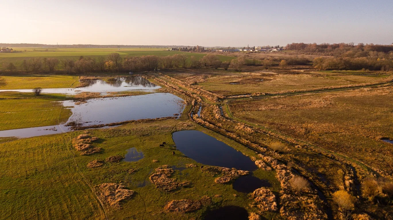 Svoboda & Williams Financially Supported the Czech Society for Ornithology