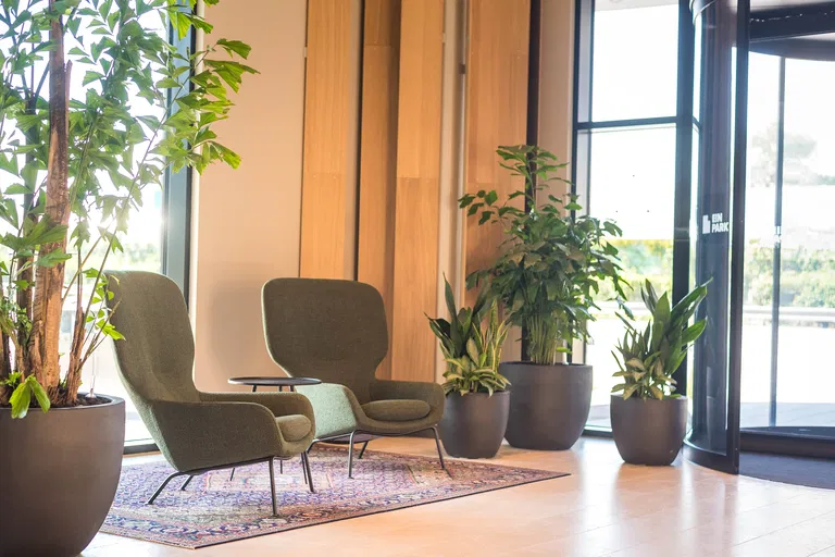 Einsteinova, Petržalka - Bratislava V | Rent, Offices, 581 m²