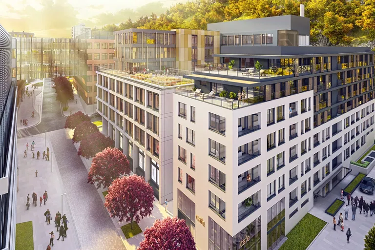 Žižkova, Staré Mesto - Bratislava I | Prenájom, Kancelárie, 571 m²