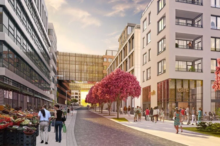 Žižkova, Staré Mesto - Bratislava I | Prenájom, Kancelárie, 571 m²