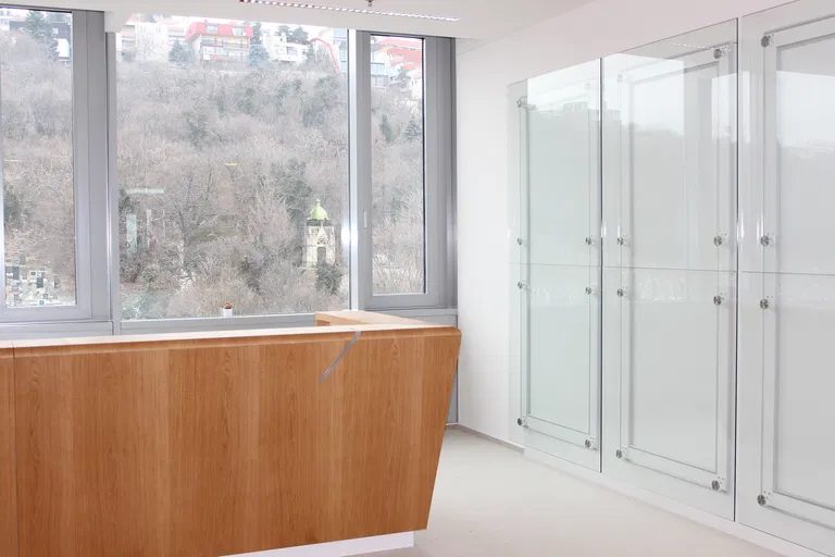 Dvořákovo nábrežie, Staré Mesto - Bratislava I | Prenájom, Kancelárie, 1000 m²