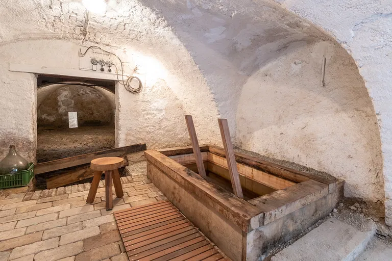 Husova, Mikulov - Břeclav | Predaj, Historický objekt, 504 m²