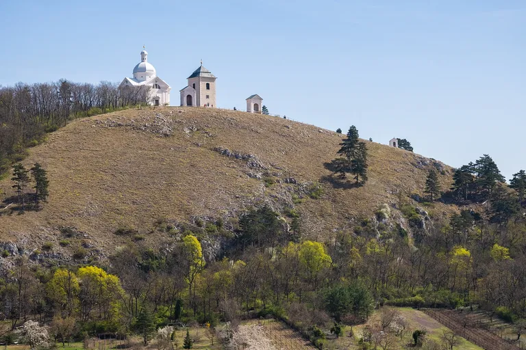 Husova, Mikulov - Břeclav | Predaj, Historický objekt, 504 m²