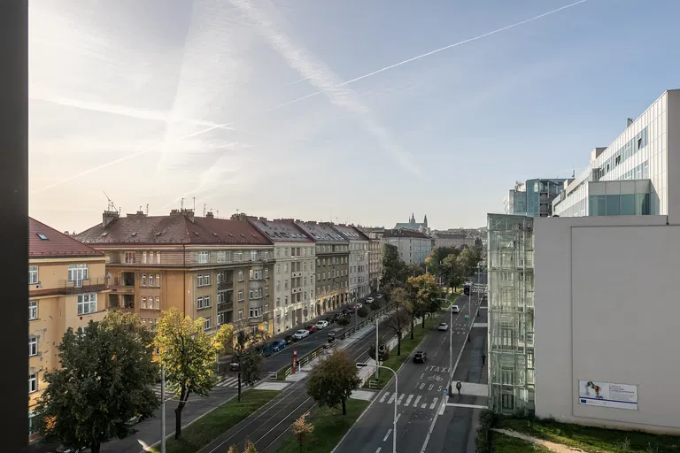 Velflíkova, Dejvice - Prague 6 | Sale, Apartment, Three-bedroom (4+kk), 180 m²