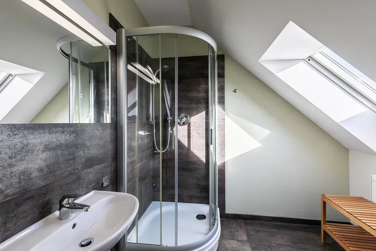 Velflíkova, Dejvice - Prague 6 | Sale, Apartment, Three-bedroom (4+kk), 180 m²