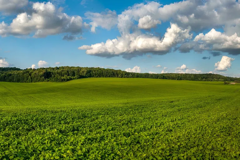  - Nitra | Predaj, Pozemok, 45 778 m²