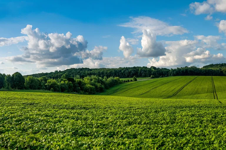  - Nitra | Predaj, Pozemok, 45 778 m²