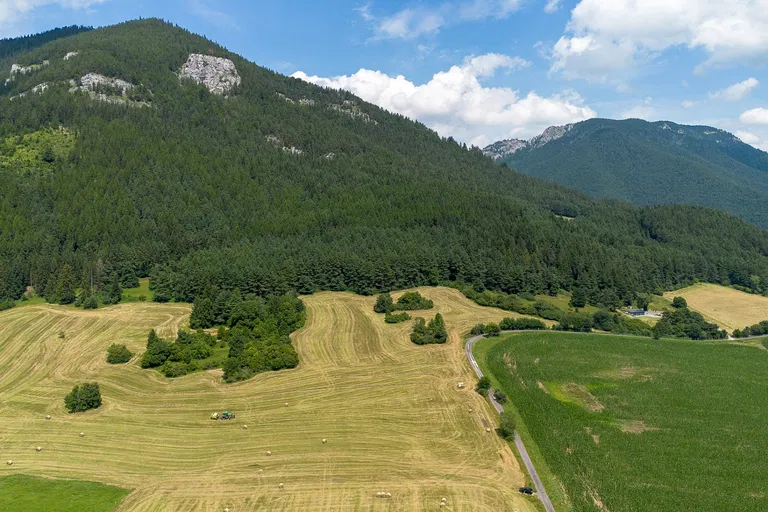 Liptovská Anna, Liptovský Mikuláš - Liptovská Anna | Predaj, Pozemok, 2 863 m²