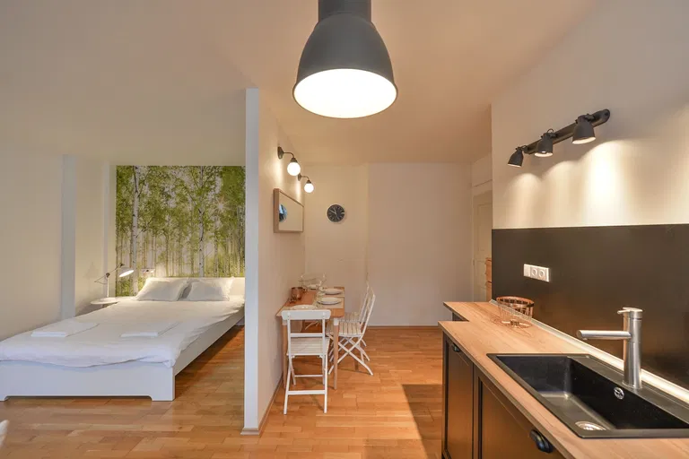 Pavla Švandy ze Semčic, Smíchov - Praha 5 | Predaj, Byt, 1-izbový, 45 m²
