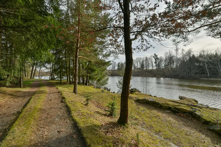 Uzeničky - Strakonice | Sale, Land, 70 499 m²
