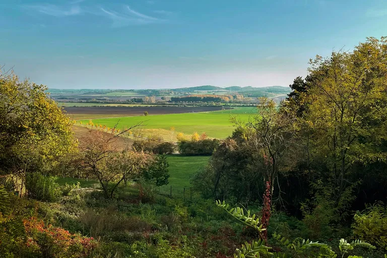 Dřínov - Mělník | Sale, Land, 1 687 m²
