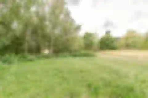 Borůvková, Černolice - Praha-západ | Predaj, Pozemok, 2 516 m²