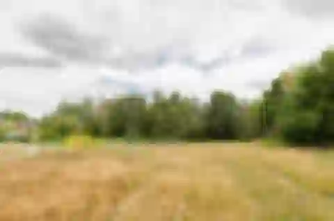 Borůvková, Černolice - Praha-západ | Predaj, Pozemok, 2 516 m²