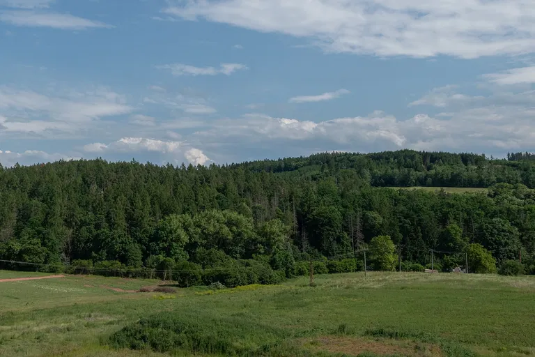 Komenského, Letovice - Blansko | Sale, Apartment, Two-bedroom (3+kk), 143 m²