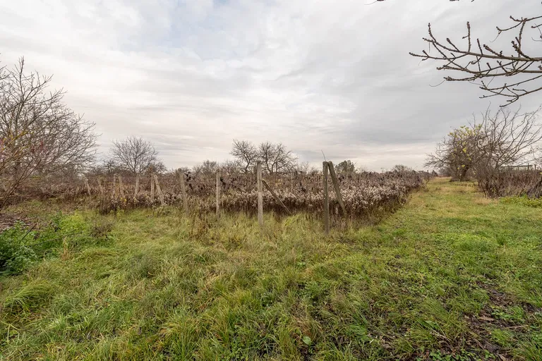 Štúrovo, Nové Zámky - Štúrovo | Predaj, Pozemok, 22 098 m²