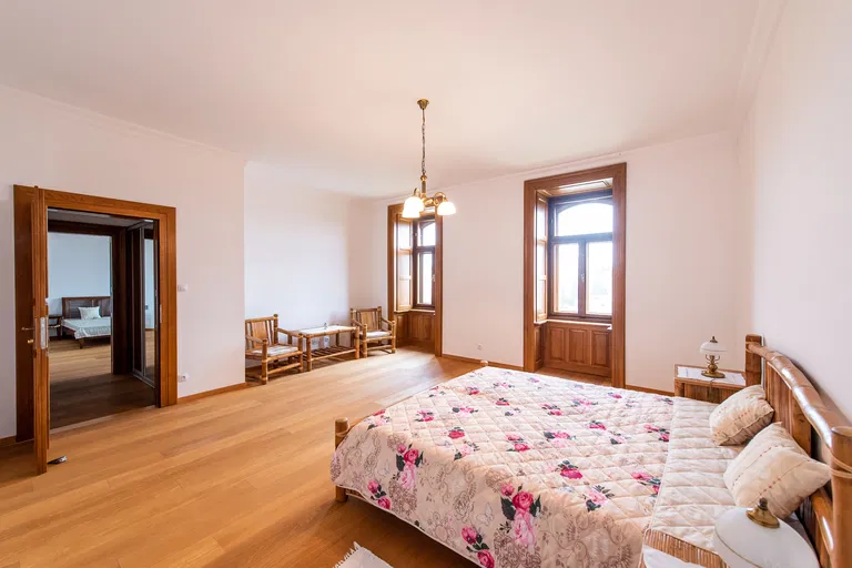 Sasinkovo - Hlohovec | Sale, Historic property, 900 m²