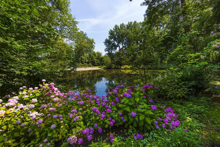 The Netherlands, Noord-Holland - Amsterdam | Sale, House, Seven-bedroom (8+kk)