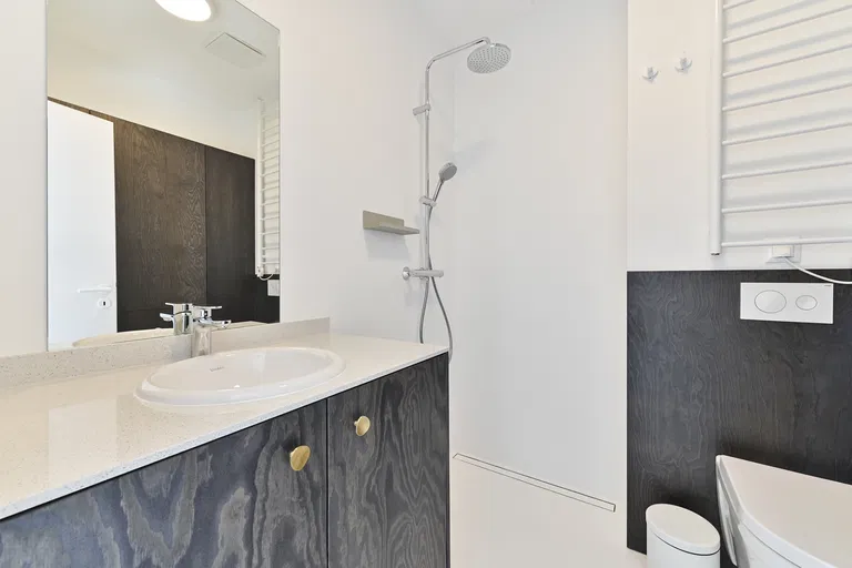 K Železnej studienke, Staré Mesto - Bratislava I | Rent, Apartment, Studio (1+1), 39 m²