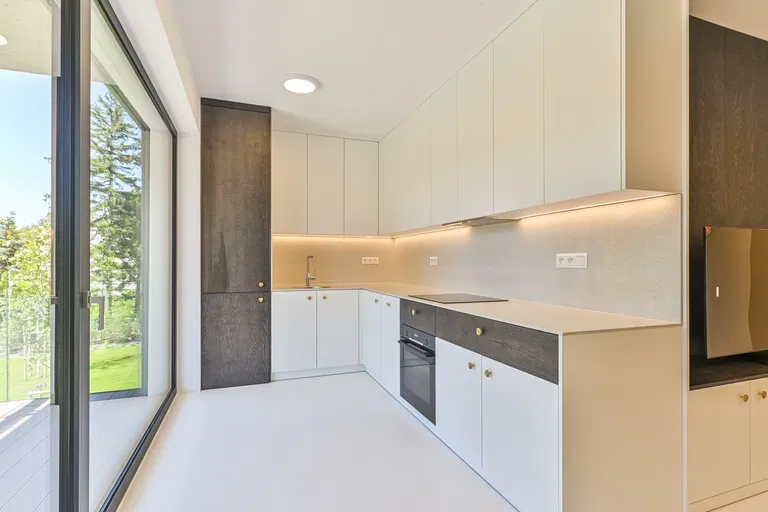 K Železnej studienke, Staré Mesto - Bratislava I | Rent, Apartment, One-bedroom (2+kk), 76 m²