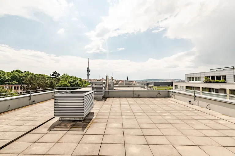 Jeseniova, Žižkov - Prague 3 | Sale, Apartment, Three-bedroom (4+kk), 440 m²