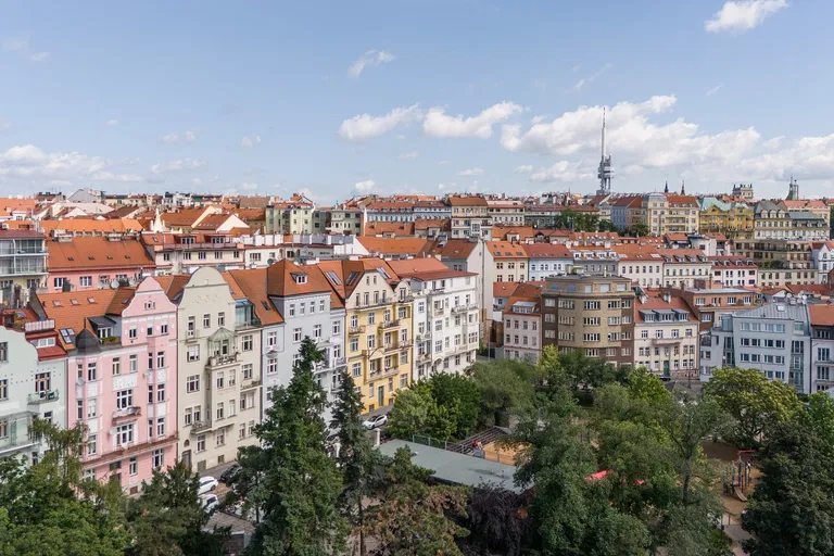 U Havlíčkových sadů, Vinohrady - Prague 2 | Sale, Apartment, One-bedroom (2+kk), 45 m²