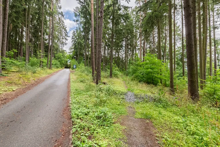 Družstevní, Jevany - Praha-východ | Predaj, Pozemok, 12 538 m²