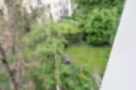 Vozová, Vinohrady - Praha 2 | Predaj, Byt, 3-izbový, 80 m²