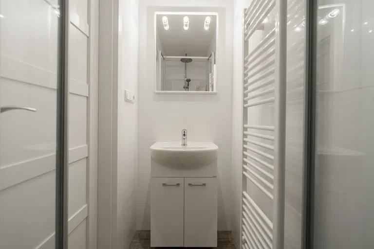 Řipská, Vinohrady - Prague 3 | Sale, Apartment, One-bedroom (2+kk), 47 m²