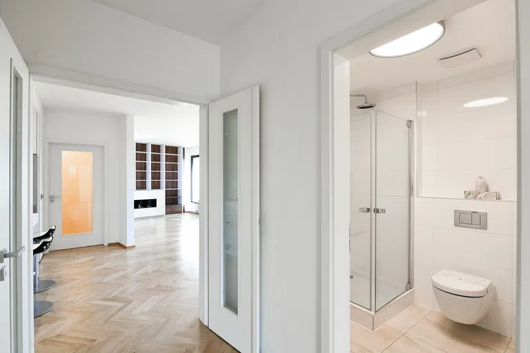 Baarova, Michle - Prague 4 | Sale, Apartment, Two-bedroom (3+kk), 212 m²