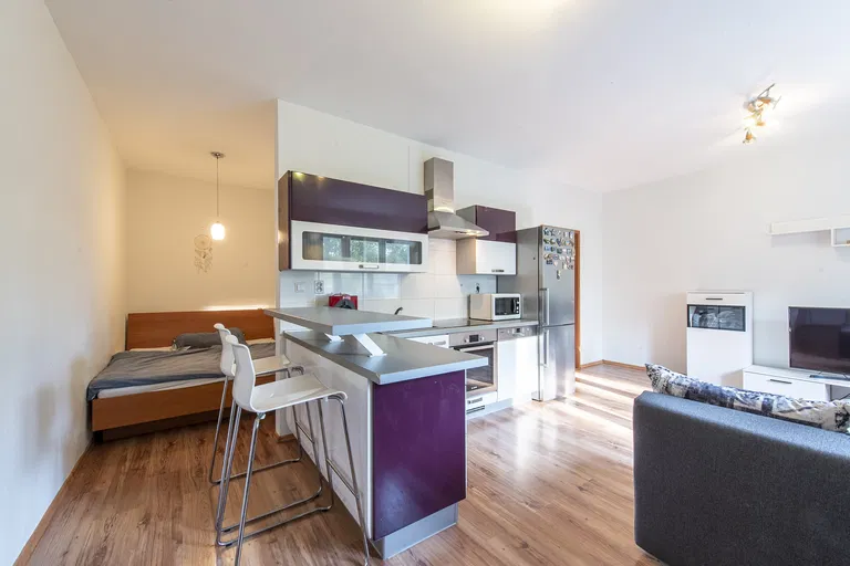 Antolská, Petržalka - Bratislava V | Predaj, Byt, 1-izbový, 42 m²