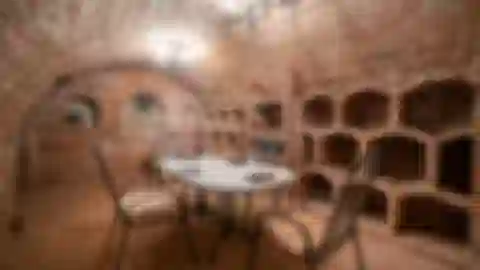 Podolí - Brno-venkov | Sale, House, Five-bedroom (6+kk), 546 m²