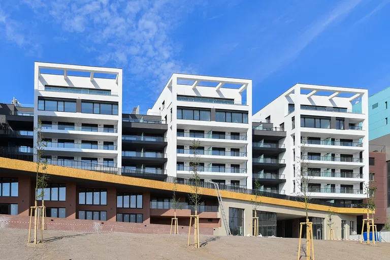 Jankovcova, Holešovice - Prague 7 | Sale, Apartment, Three-bedroom (4+kk), 306 m²