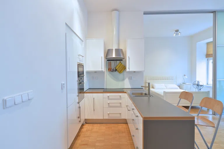 Balbínova, Vinohrady - Prague 2 | Sale, Apartment, One-bedroom (2+kk), 55 m²