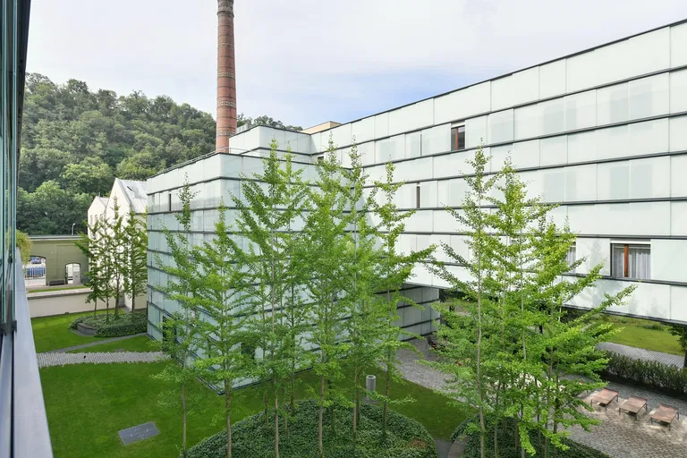 Šaldova, Karlín - Praha 8 | Predaj, Byt, 3-izbový, 140 m²
