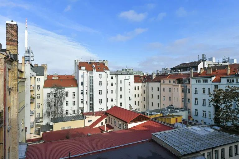 Řipská, Vinohrady - Prague 3 | Sale, Apartment, One-bedroom (2+kk), 50 m²