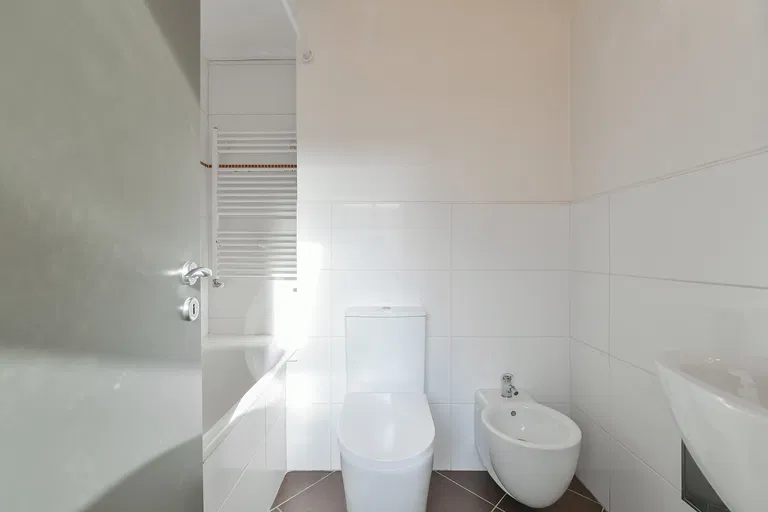 Řipská, Vinohrady - Prague 3 | Sale, Apartment, One-bedroom (2+kk), 50 m²