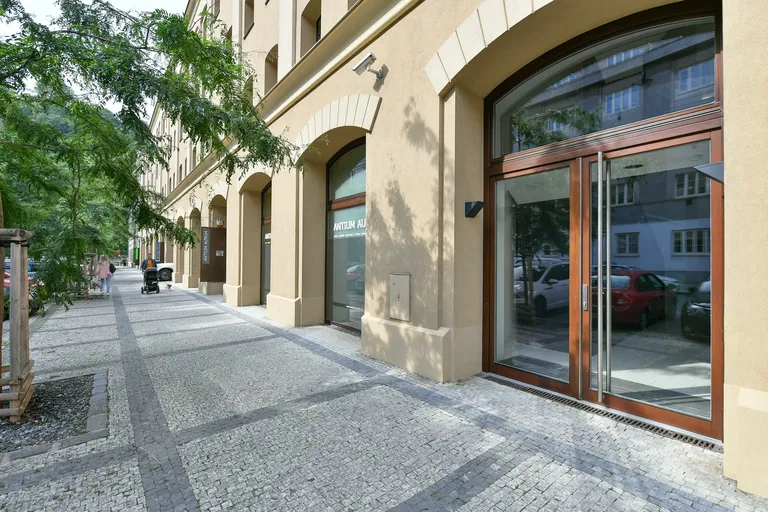 Šaldova, Karlín - Praha 8 | Predaj, Byt, 3-izbový, 140 m²
