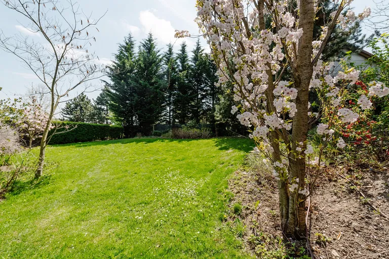 Mudroňova, Staré Mesto - Bratislava I | Rent, Apartment, Four-bedroom (5+1), 246 m²