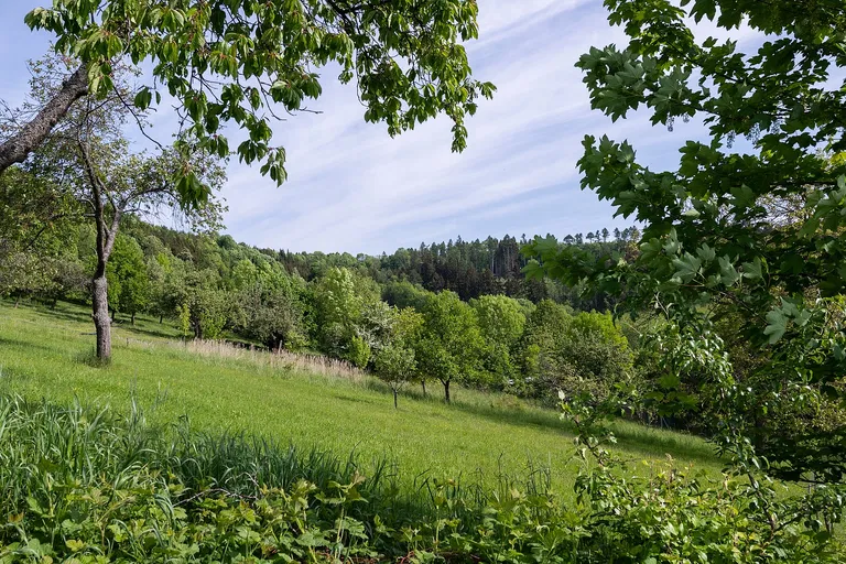 Svojanov - Svitavy | Sale, Land, 1 863 m²