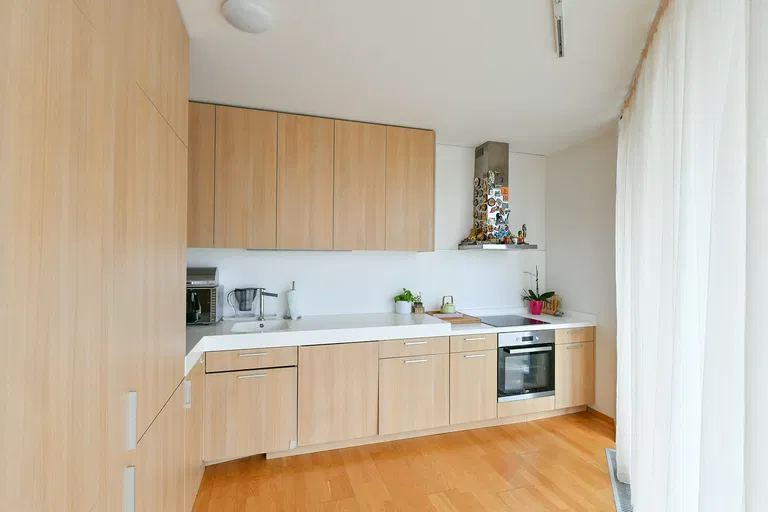 Pitterova, Žižkov - Prague 3 | Sale, Apartment, Two-bedroom (3+kk), 130 m²
