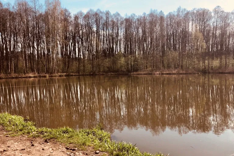 Doksy - Česká Lípa | Sale, Land, 24 874 m²